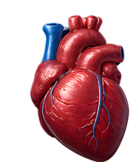 Cardiologia