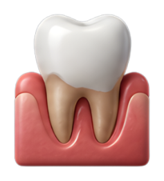 Periodontia